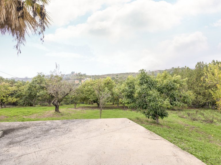 Villa for Sale in El Padron, Malaga 14