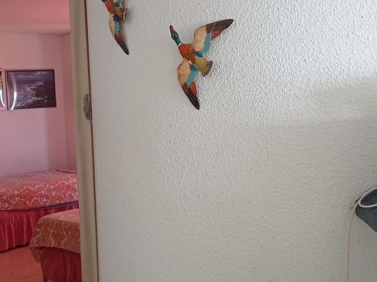 Apartment for Sale in Fuengirola, Malaga 33