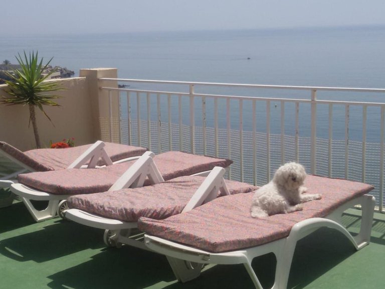 Apartment for Sale in Fuengirola, Malaga 52