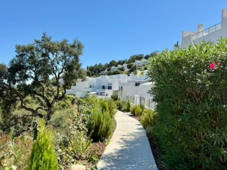 Villa for Sale in Elviria, Malaga 33