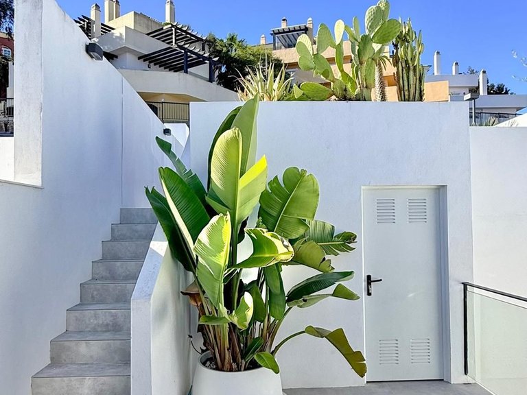 Villa for Sale in Elviria, Malaga 37