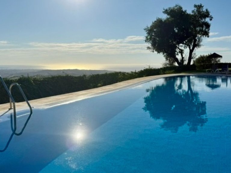 Villa for Sale in Elviria, Malaga 4