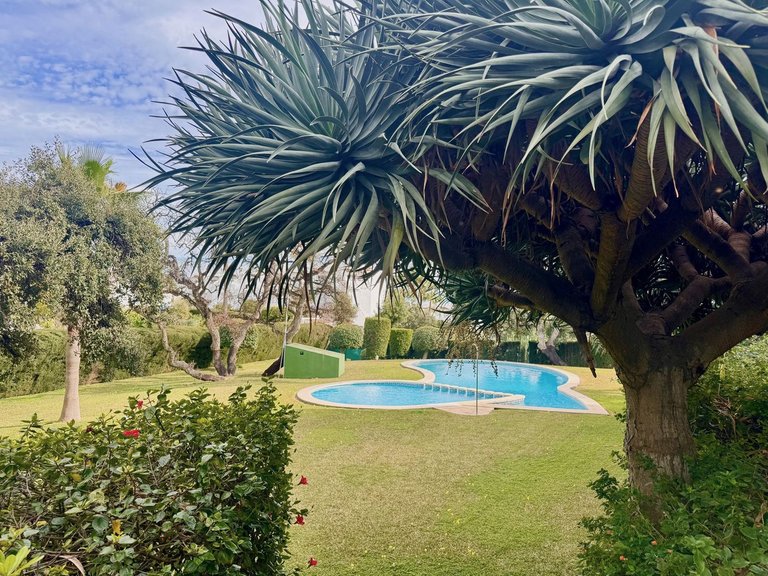 Apartment for Sale in Calahonda, Malaga 21