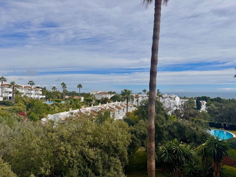 Apartment for Sale in Calahonda, Malaga 8