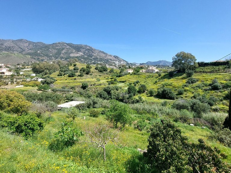 Villa for Sale in Mijas, Malaga 60