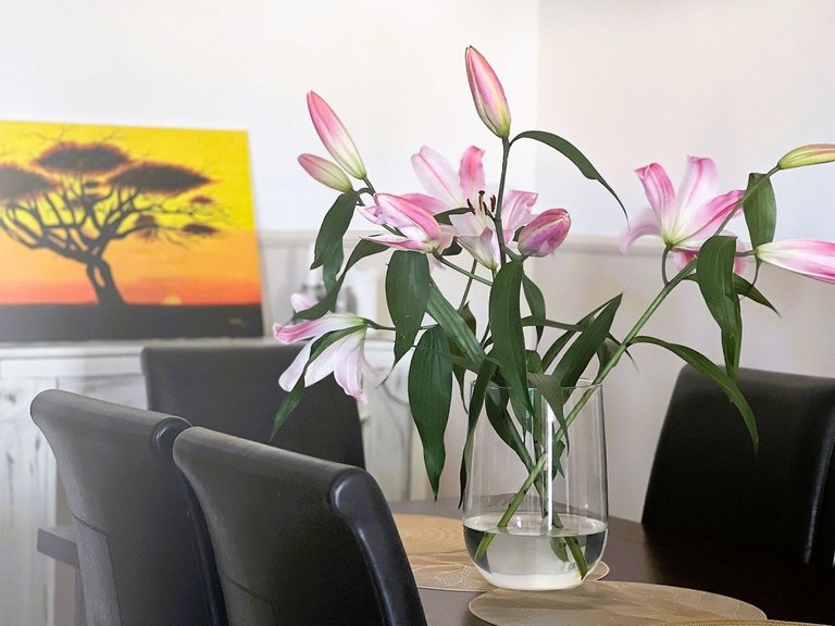Apartment for Sale in Calahonda, Malaga 21