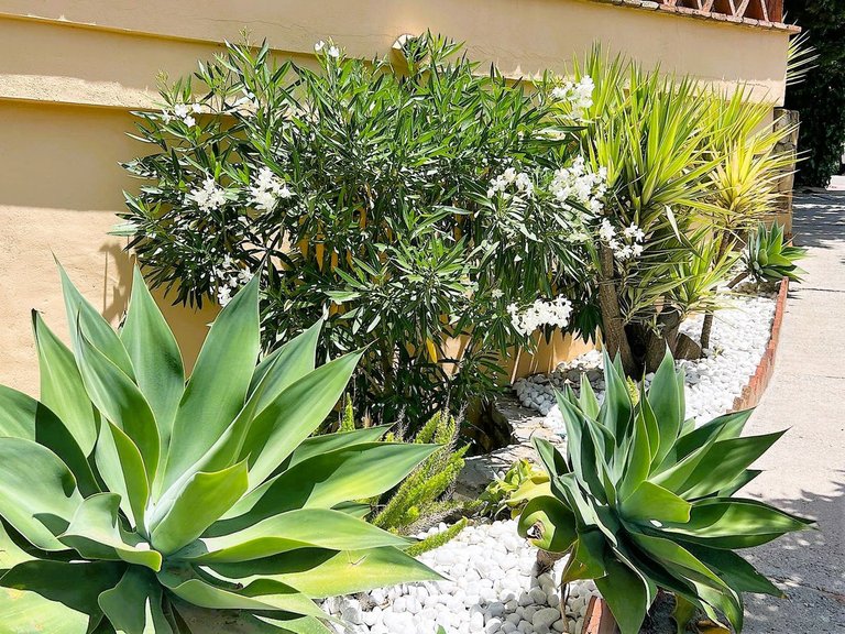 Apartment for Sale in Calahonda, Malaga 7