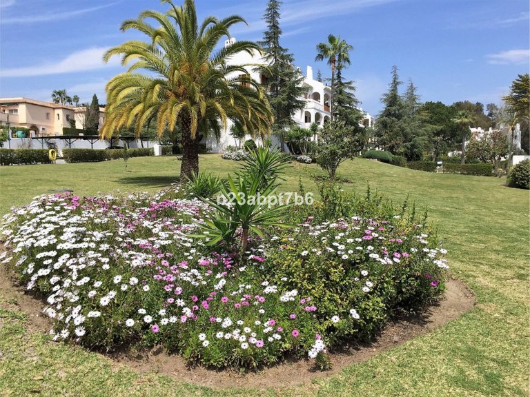 Apartment for Sale in Nueva Andalucía, Malaga 19