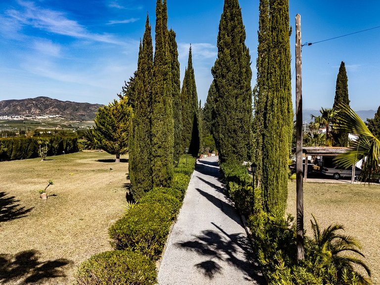 Villa for Sale in Alhaurín De La Torre, Malaga 10