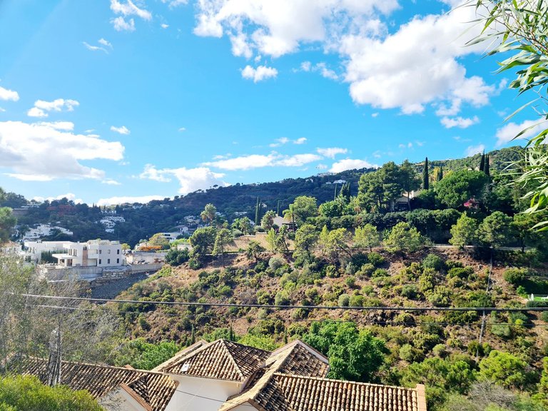 Plot for Sale in El Madroñal, Malaga 3