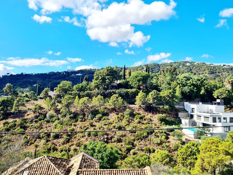 Plot for Sale in El Madroñal, Malaga 4