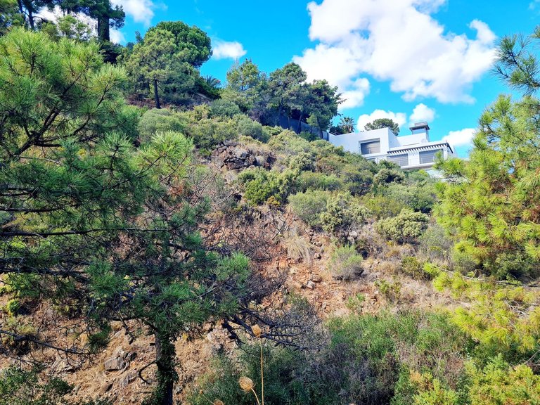Plot for Sale in El Madroñal, Malaga 6