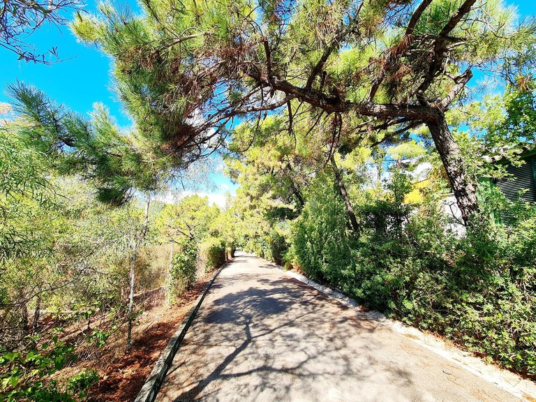 Plot for Sale in El Madroñal, Malaga 7