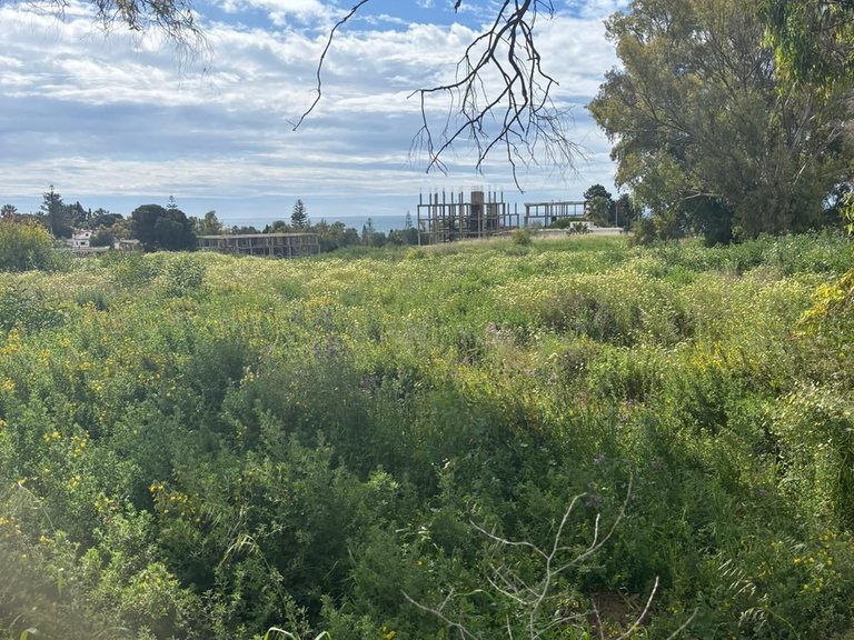 Plot for Sale in Cancelada, Malaga 1