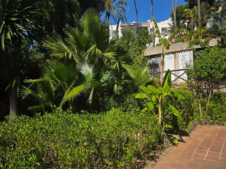 Apartment for Sale in Miraflores, Malaga 23