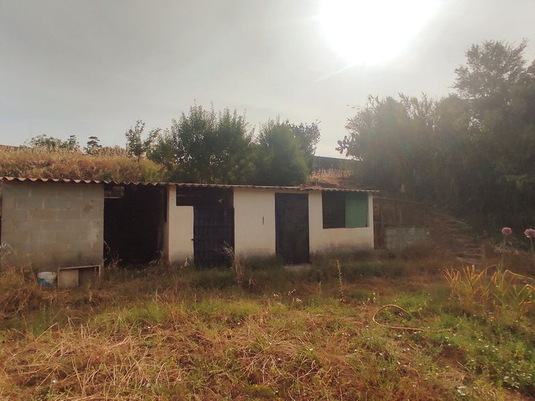 Villa for Sale in La Cala, Malaga 21