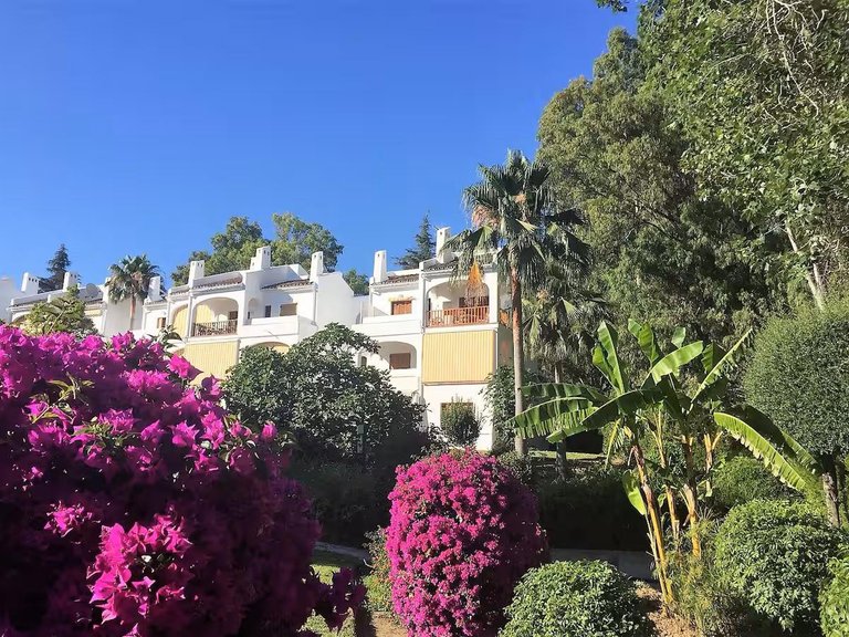 Apartment for Sale in Nueva Andalucía, Malaga 20