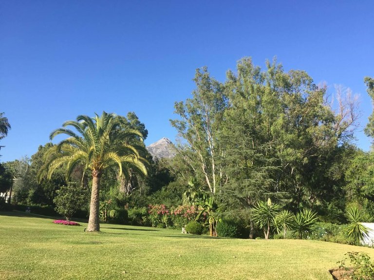 Apartment for Sale in Nueva Andalucía, Malaga 21