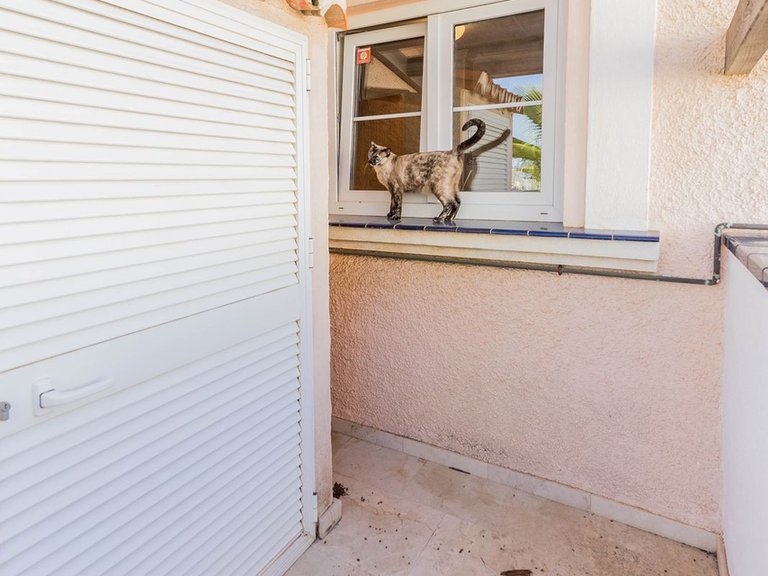 Villa for Sale in Fuengirola, Malaga 46