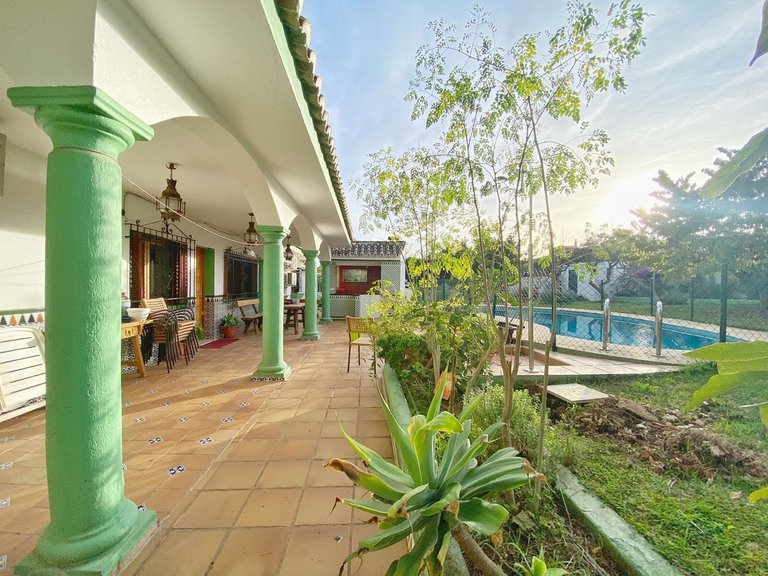 Villa for Sale in Marbella, Malaga 7