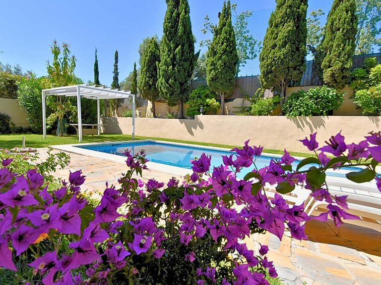 Villa for Sale in Guadalmina Alta, Malaga 5