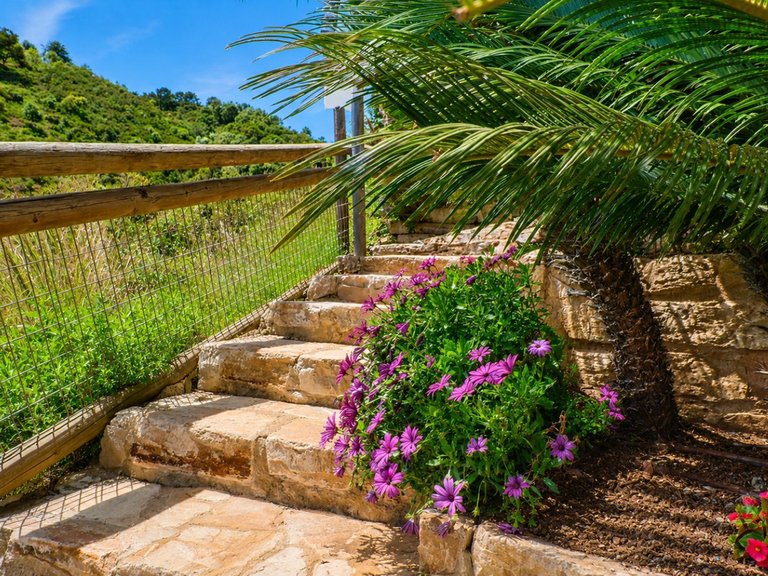 Villa for Sale in Benahavís, Malaga 19