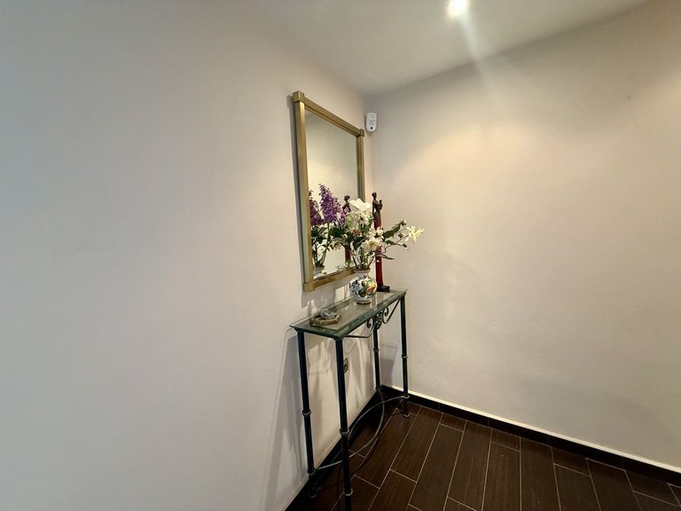Villa for Sale in Playamar, Malaga 30