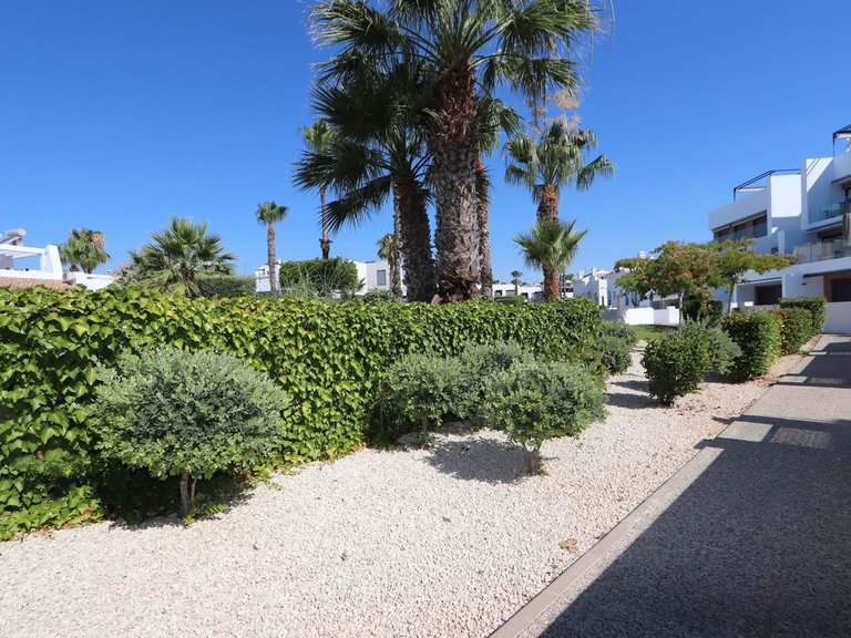 Apartment for Sale in Villamartin, Alicante 26