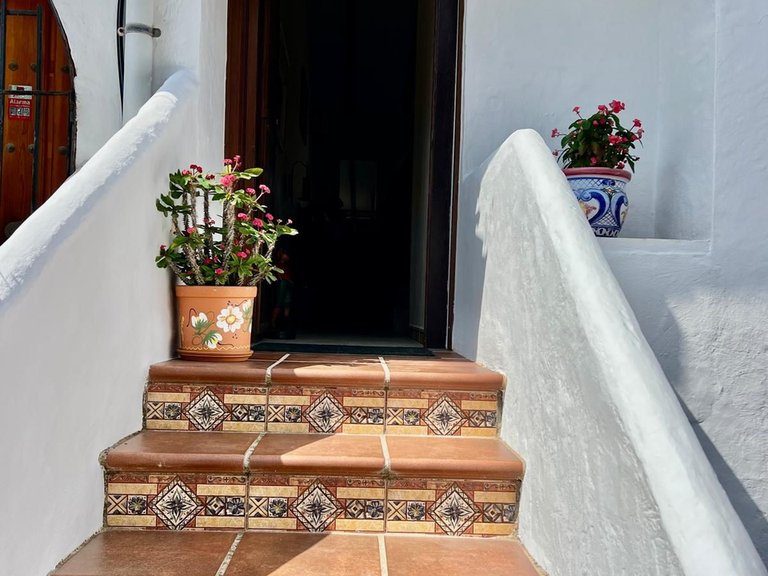 Villa for Sale in Estepona, Malaga 13