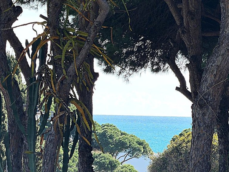 Plot for Sale in Costa del Sol Calahonda, Malaga 5