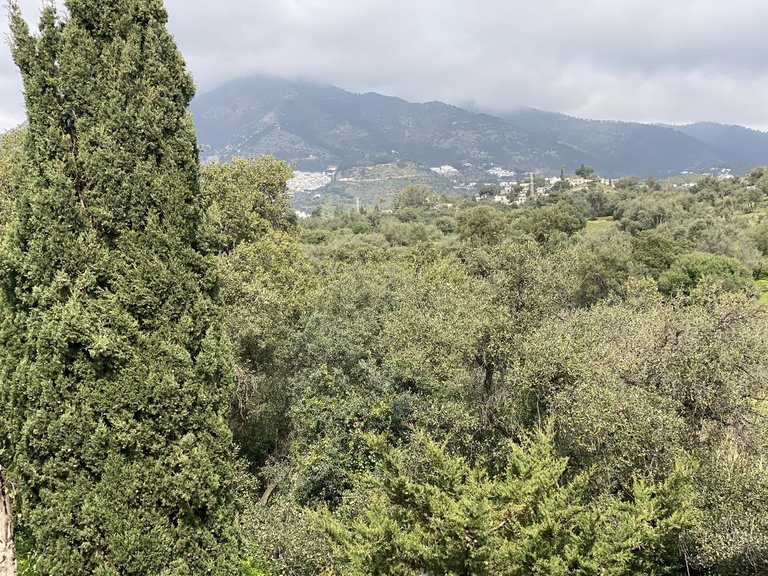 Apartment for Sale in Costa del Sol Mijas, Malaga 14