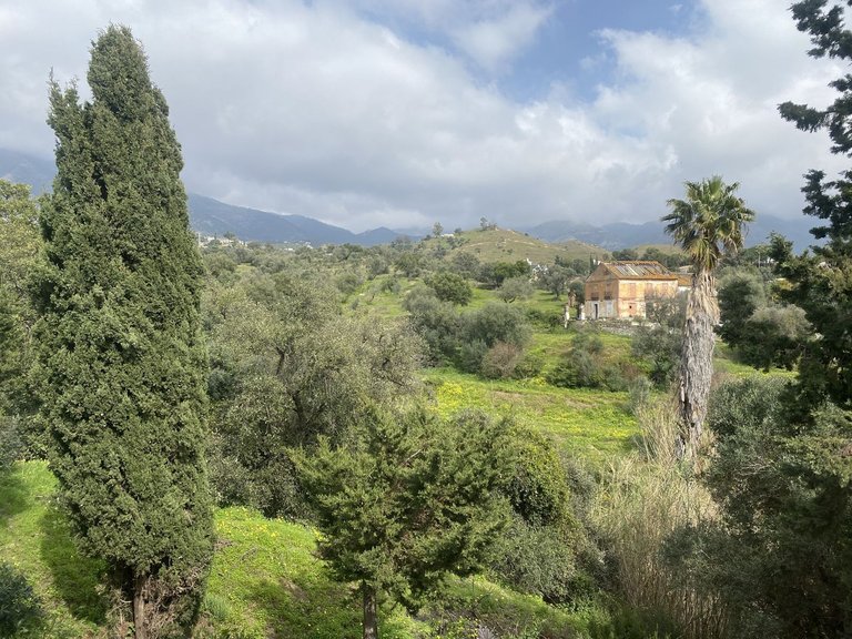 Apartment for Sale in Costa del Sol Mijas, Malaga 15