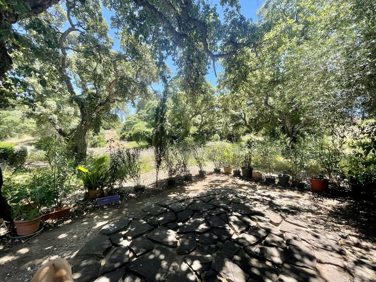 Villa for Sale in Sotogrande, Cadiz 56