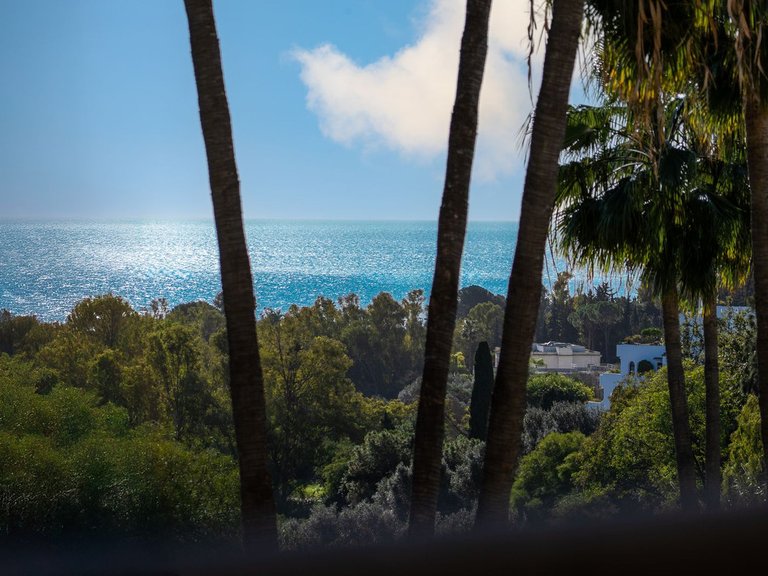 Apartment for Sale in The Golden Mile, Malaga 29