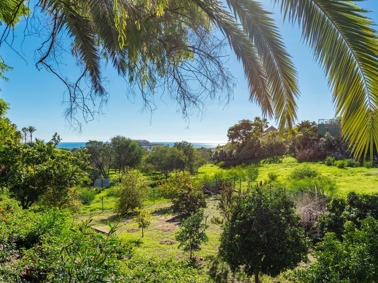 Villa for Sale in Nueva Andalucía, Malaga 32