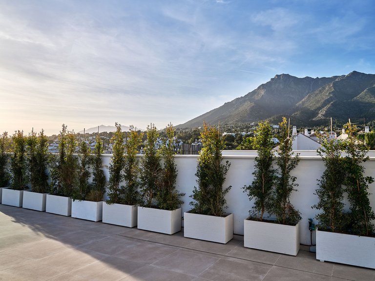 Villa for Sale in Costa del Sol Marbella, Malaga 24