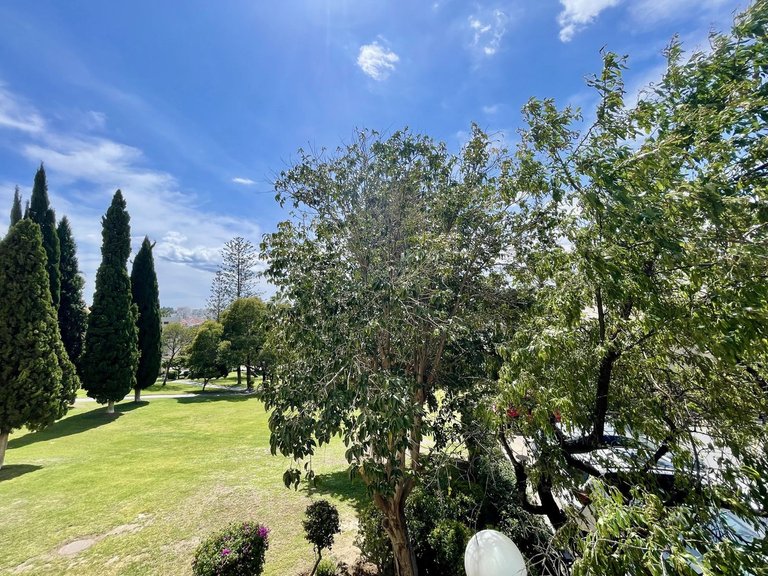 Apartment for Sale in Nueva Andalucía, Malaga 8