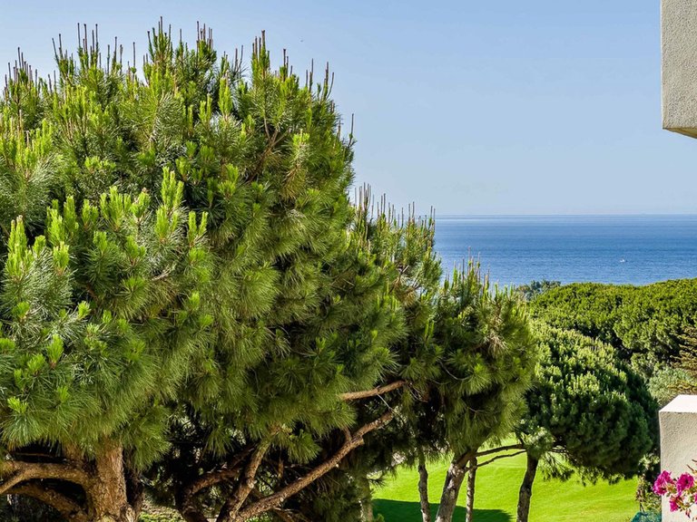 Villa for Sale in Marbella, Malaga 38