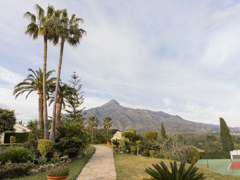 Villa for Sale in Nueva Andalucía, Malaga 41