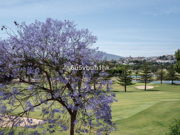 Villa for Sale in Mijas, Malaga 19