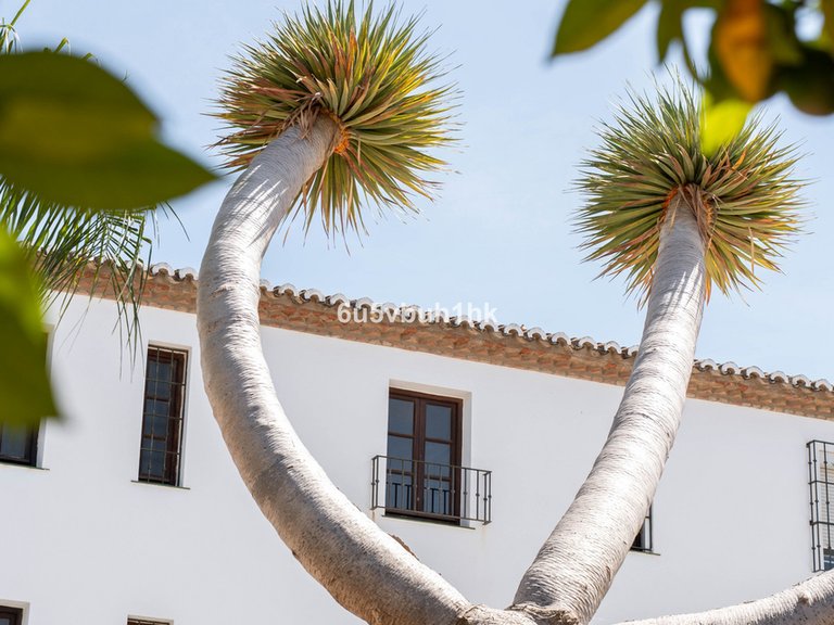 Villa for Sale in Mijas, Malaga 34