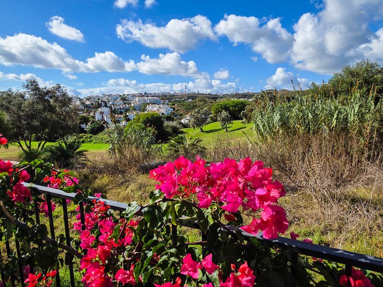Villa for Sale in La Duquesa, Malaga 21