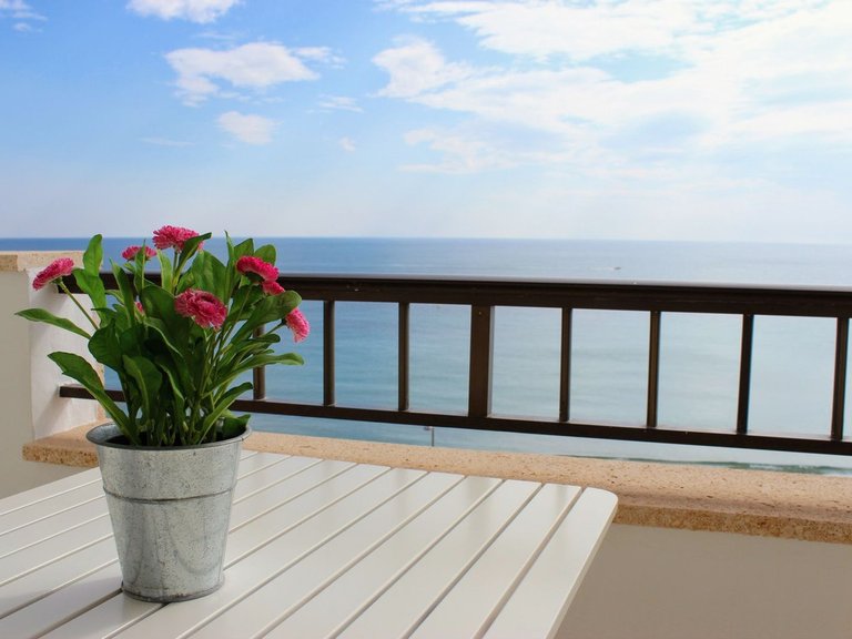 Apartment for Sale in Mil Palmeras, Alicante 2
