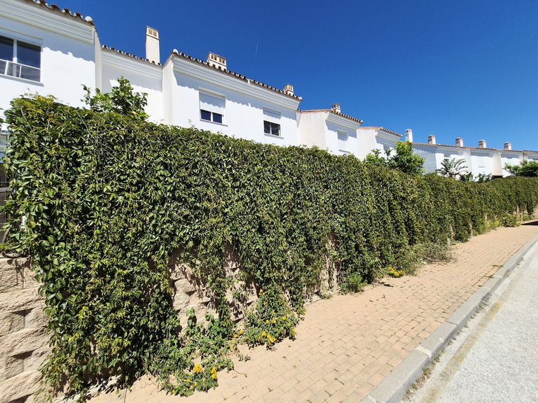 Villa for Sale in La Cala De Mijas, Malaga 12