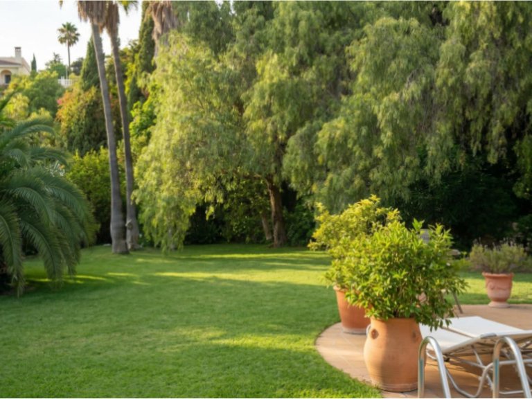 Villa for Sale in Elviria, Malaga 17