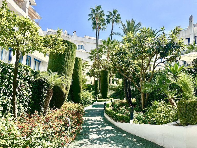 Apartment for Sale in Marbella, Malaga 71