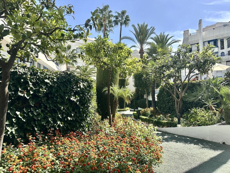 Apartment for Sale in Marbella, Malaga 73