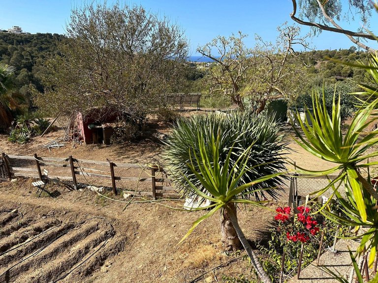 Plot for Sale in Cabopino, Malaga 8