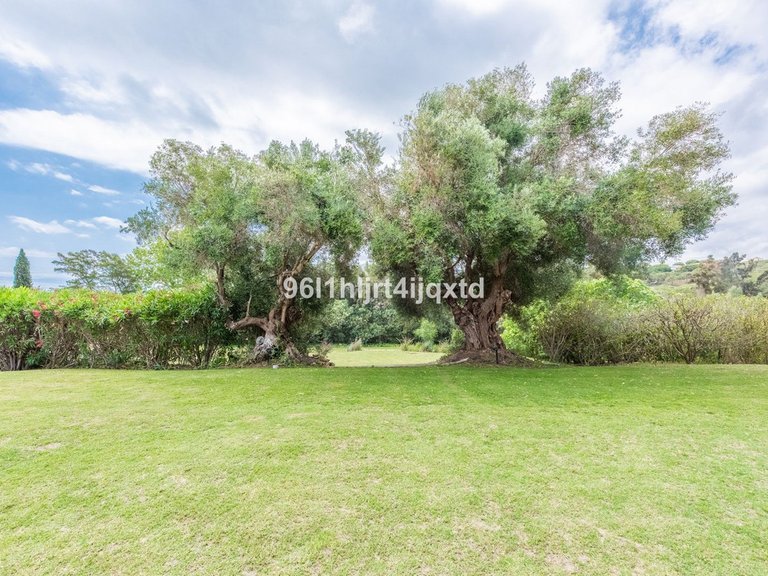 Villa for Sale in Sotogrande Alto, Cadiz 2