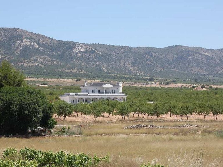 Villa for Sale in Pinoso, Alicante 23